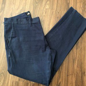 Nike SB Pants